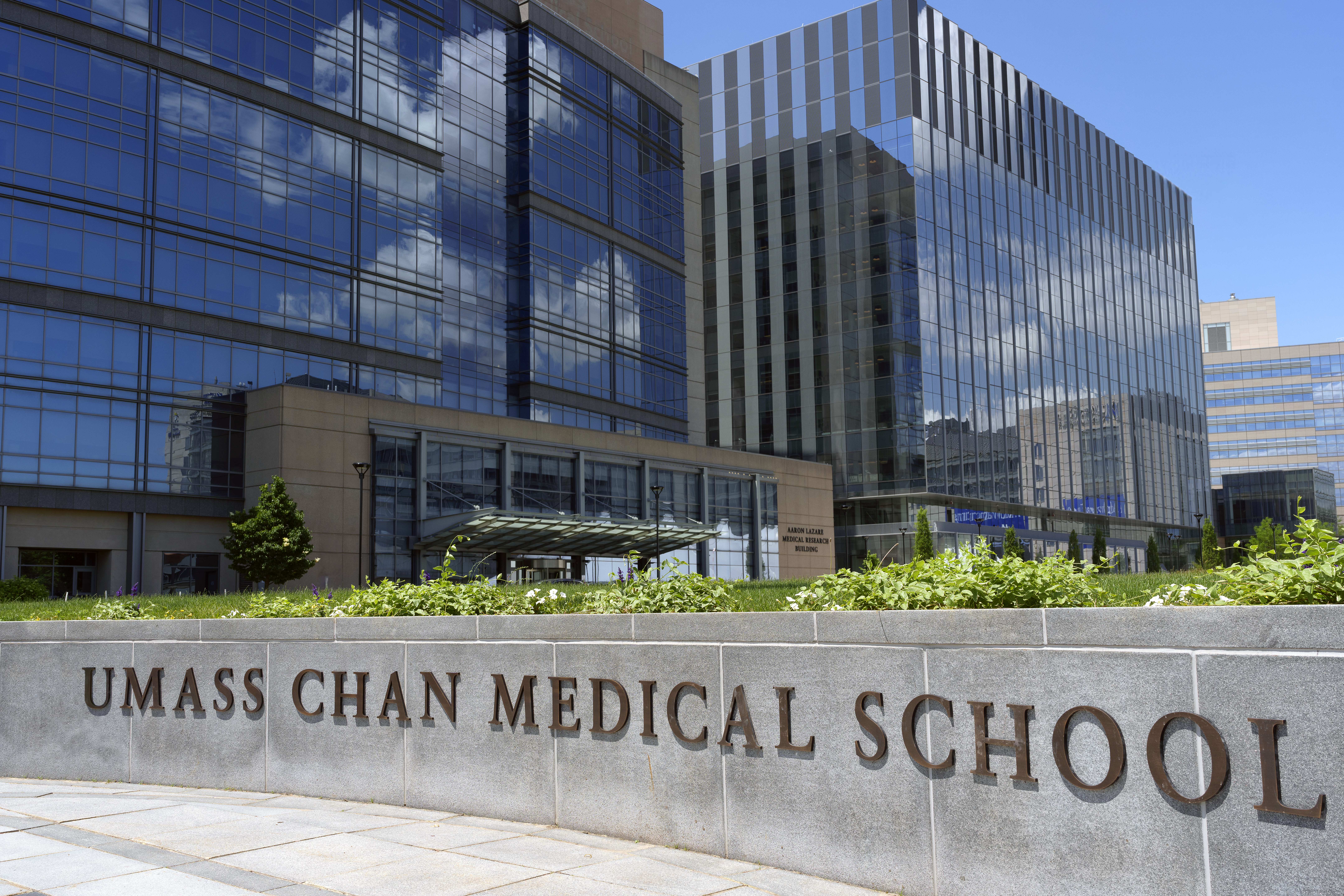 Picture of the UMass Chan campus